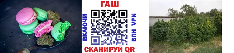 Купить закладки  Камышин  Еда ТГК конопля 