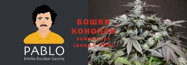 крисы Зеленокумск