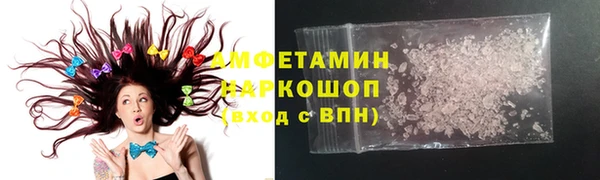 индика Заводоуковск
