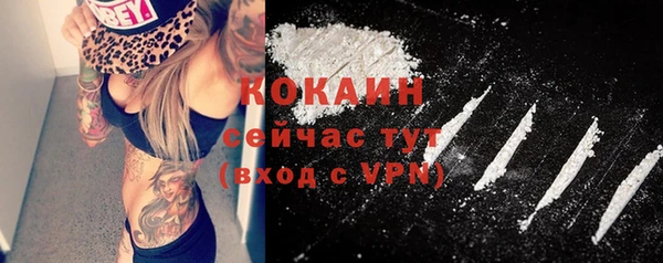 крисы Зеленокумск