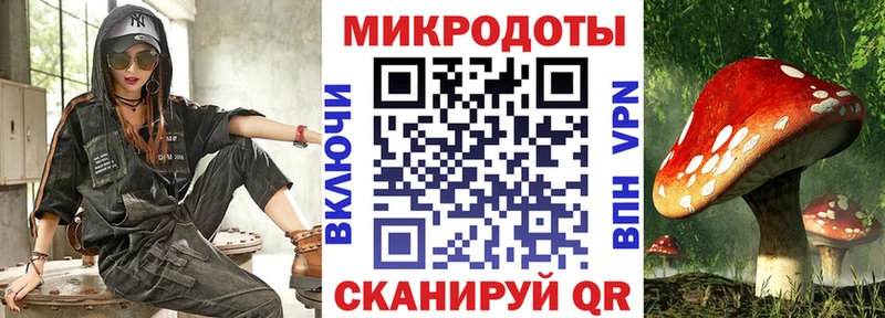 Купить где Камышин Псилоцибиновые грибы мухоморы